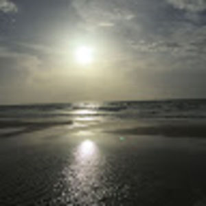 Meet your Posher, Liam